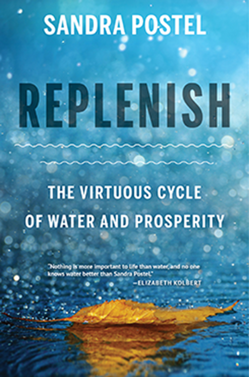 Replenish New Book Release